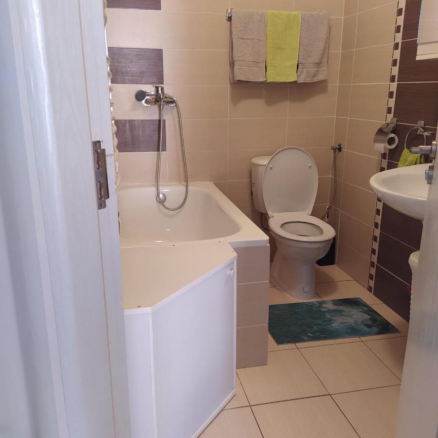 Daniris Apartman ノヴィ・サド エクステリア 写真